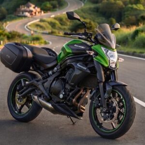 Kawasaki ER6N (Standard)